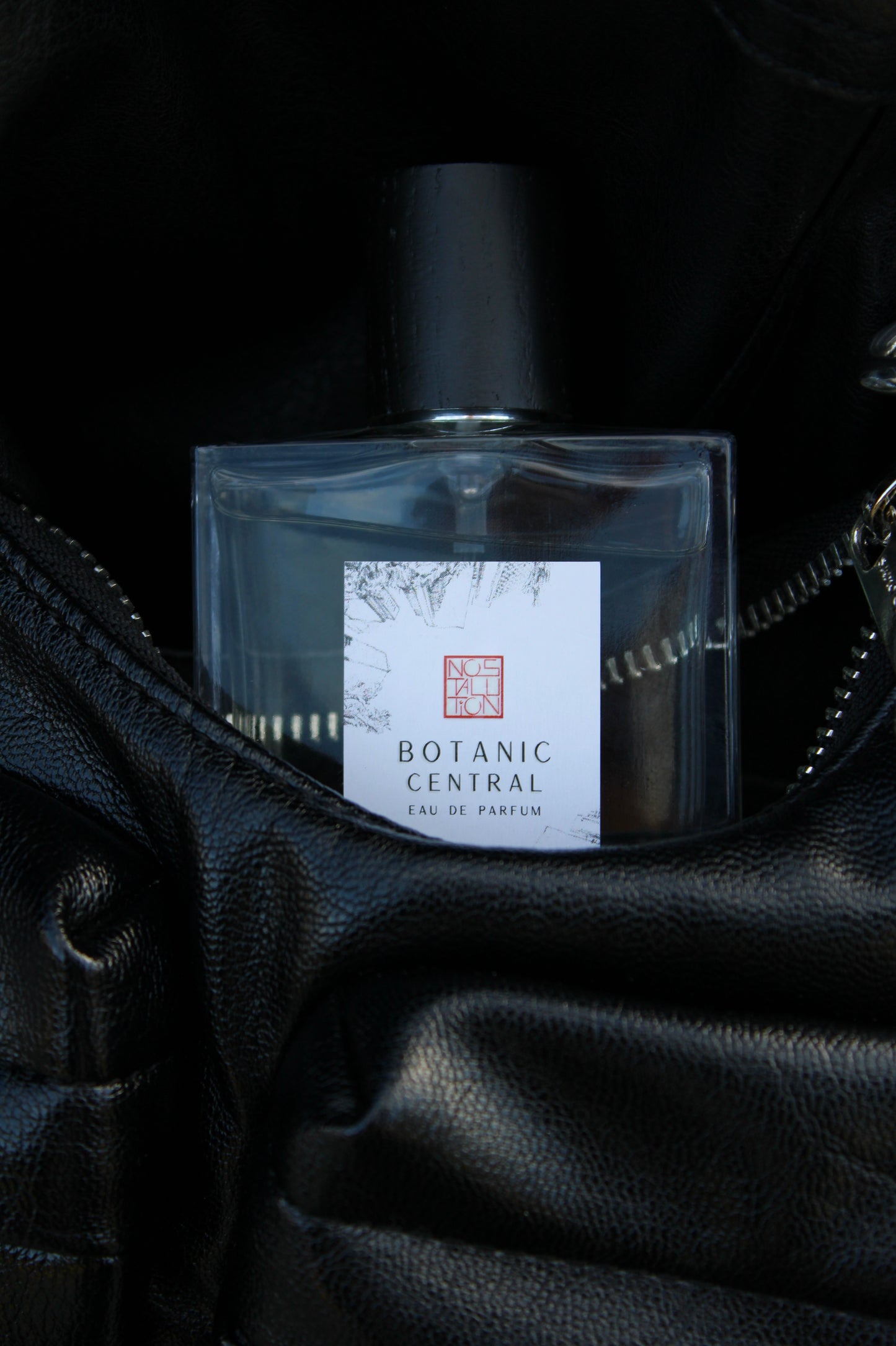 Botanic Central EDP (50ml)