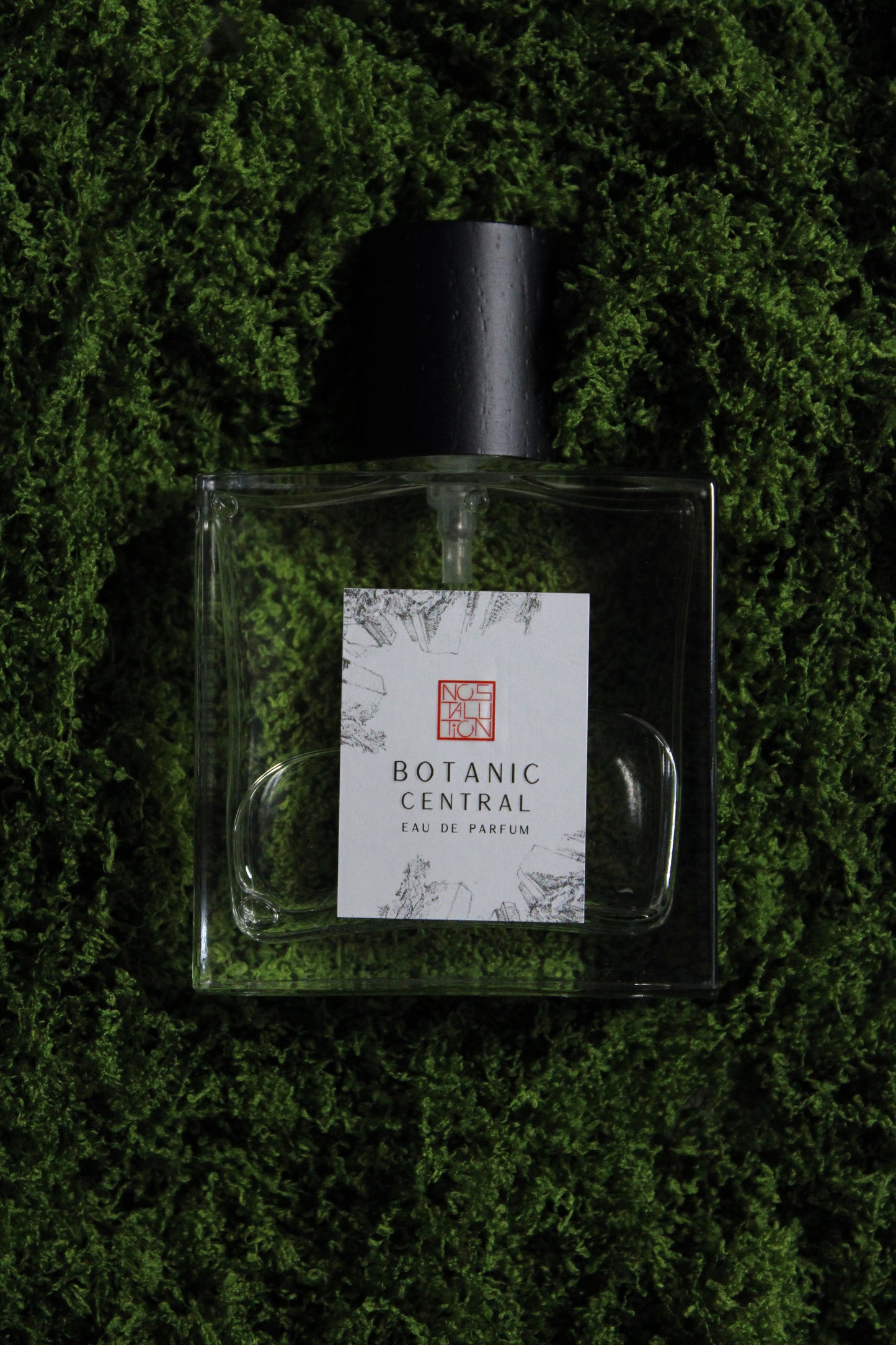 Botanic Central EDP (50ml)
